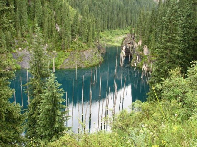 Камри клуб алматы