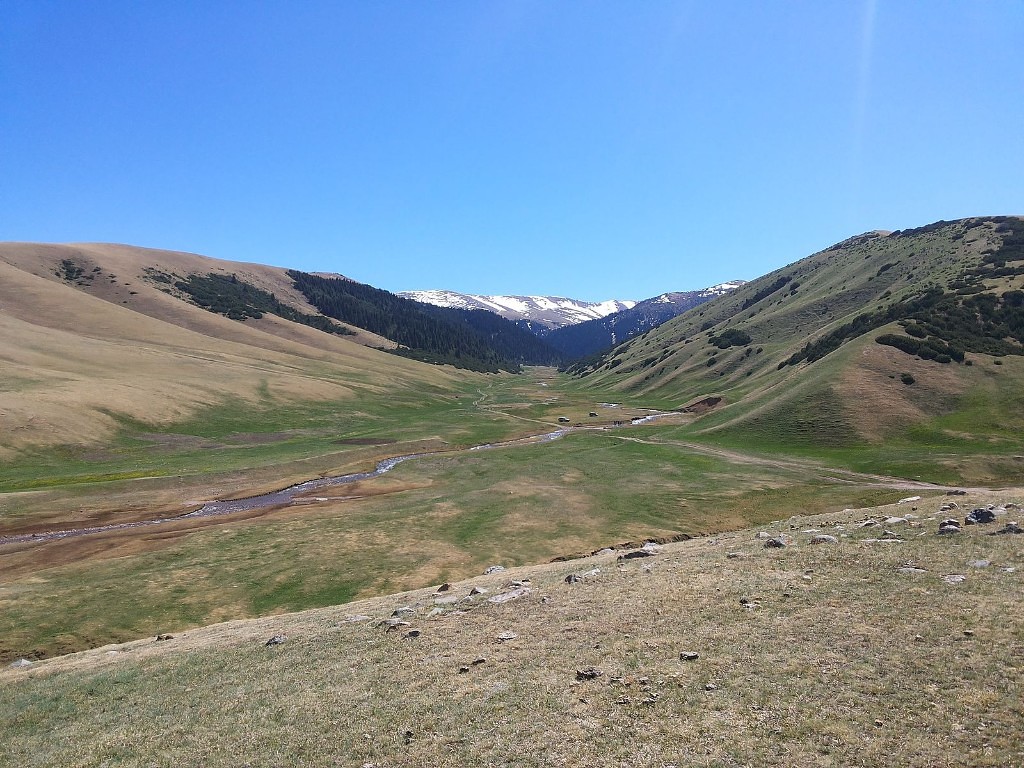 Плато "Ассы"