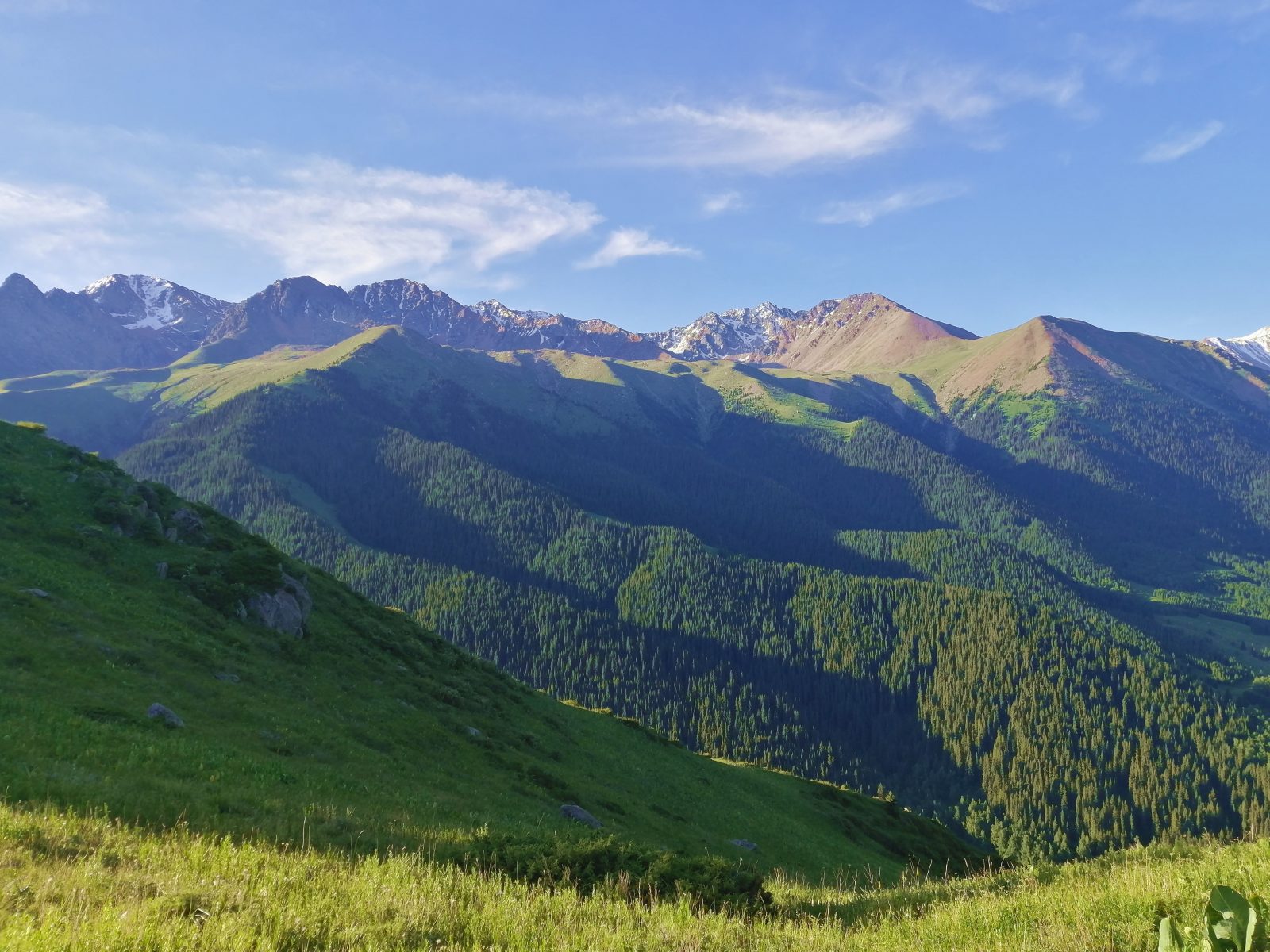 Окунь по расписанию