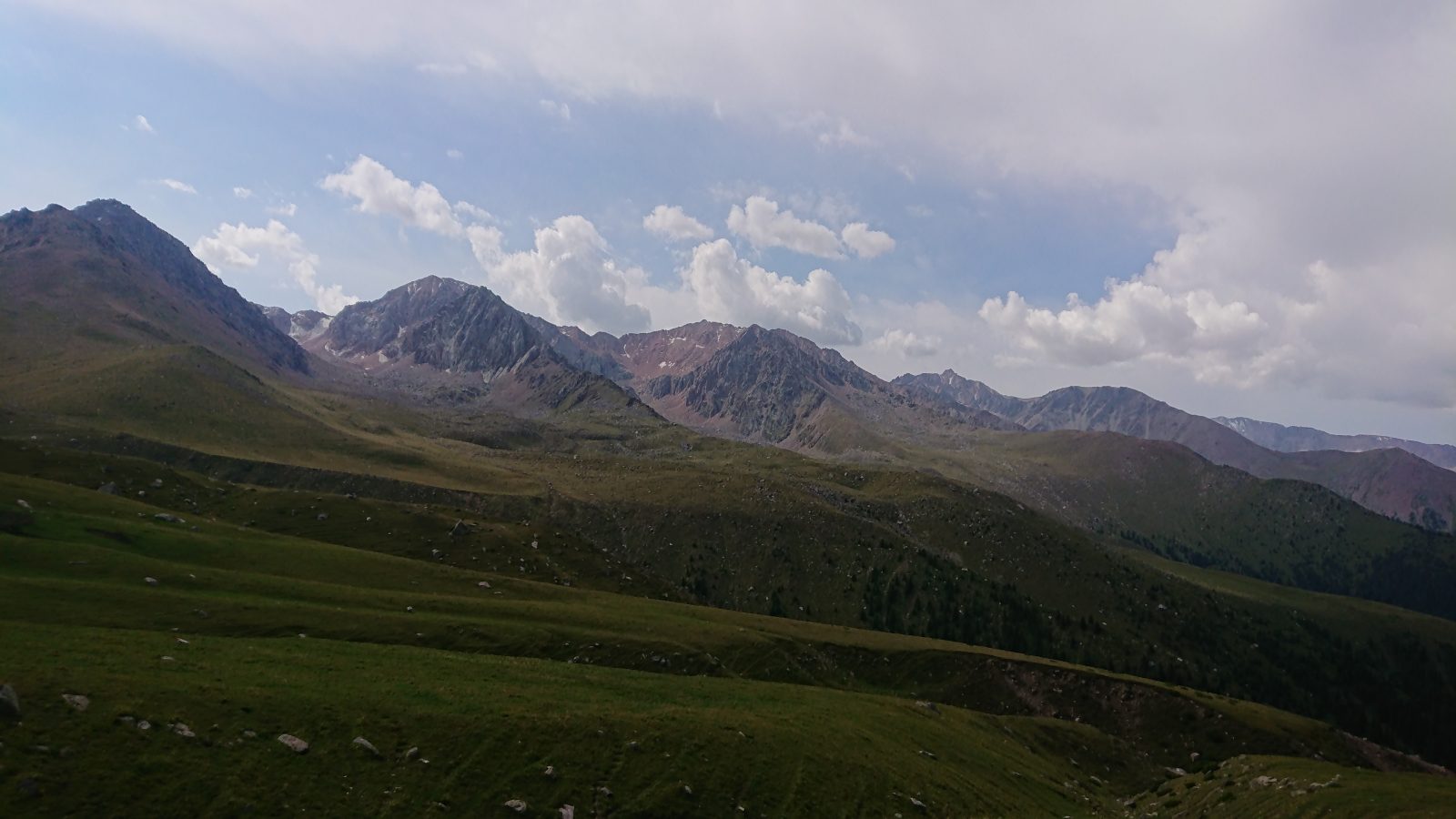 Окунь по расписанию