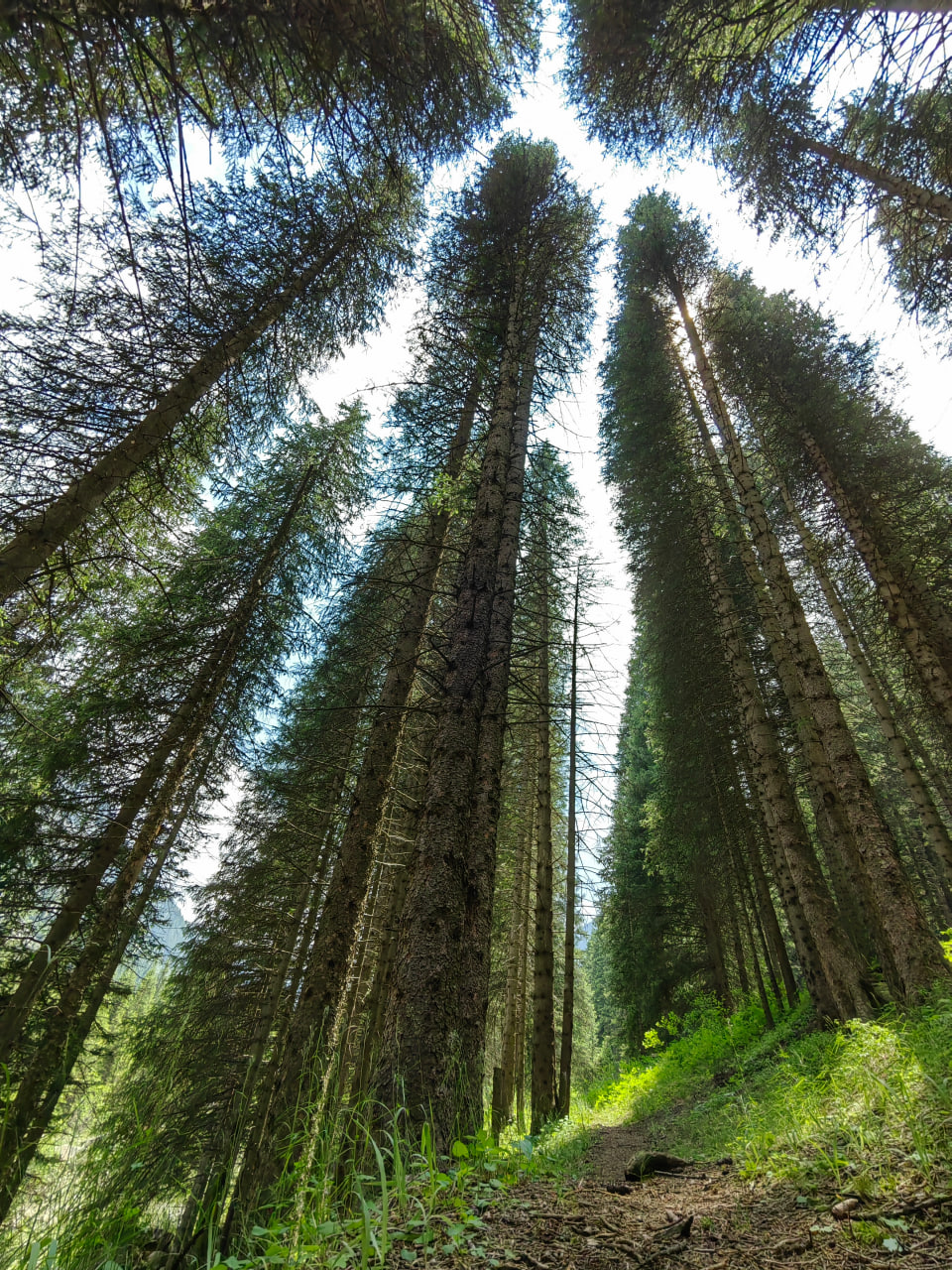 Красная Поляна, 2 дня