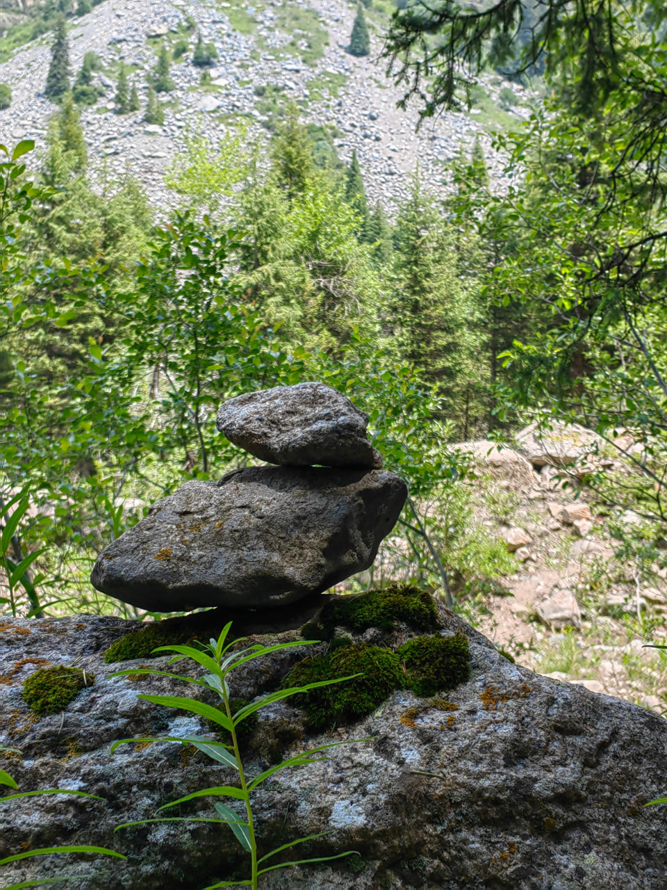 Красная Поляна, 2 дня